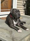 Lucky Loki photo 4