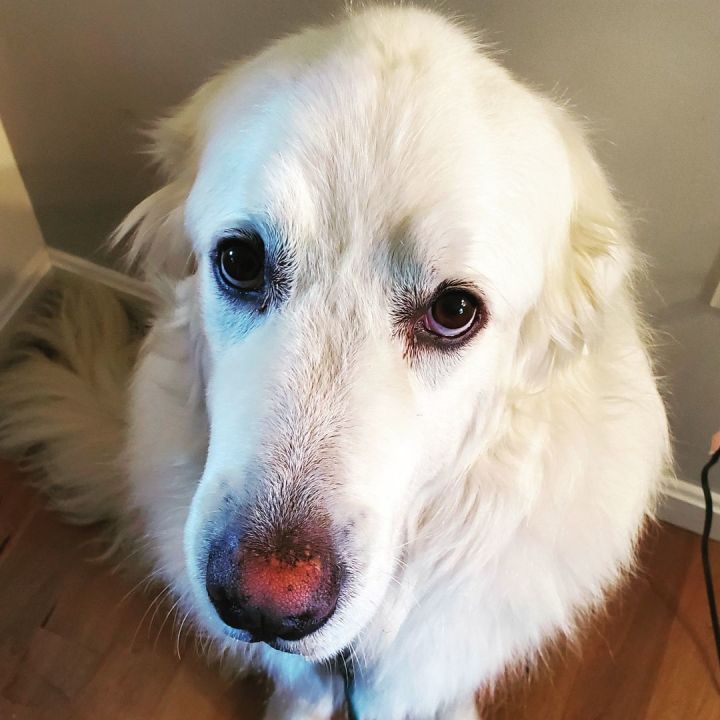 Murphy 6