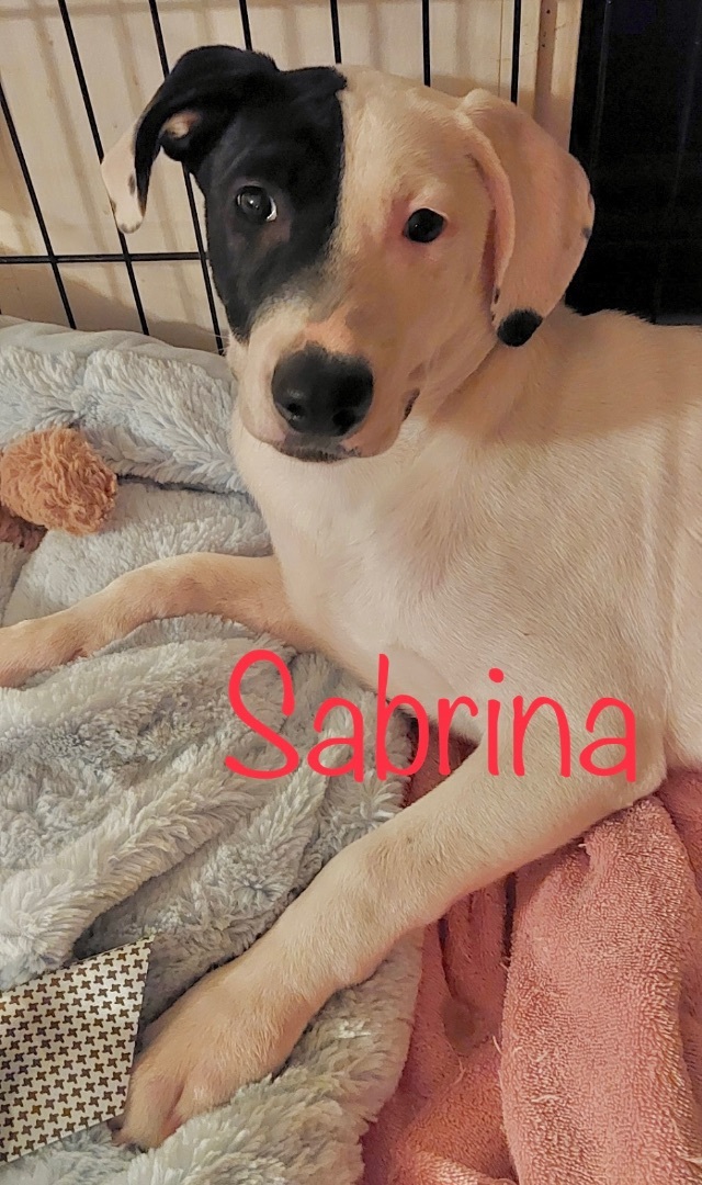 Sabrina 