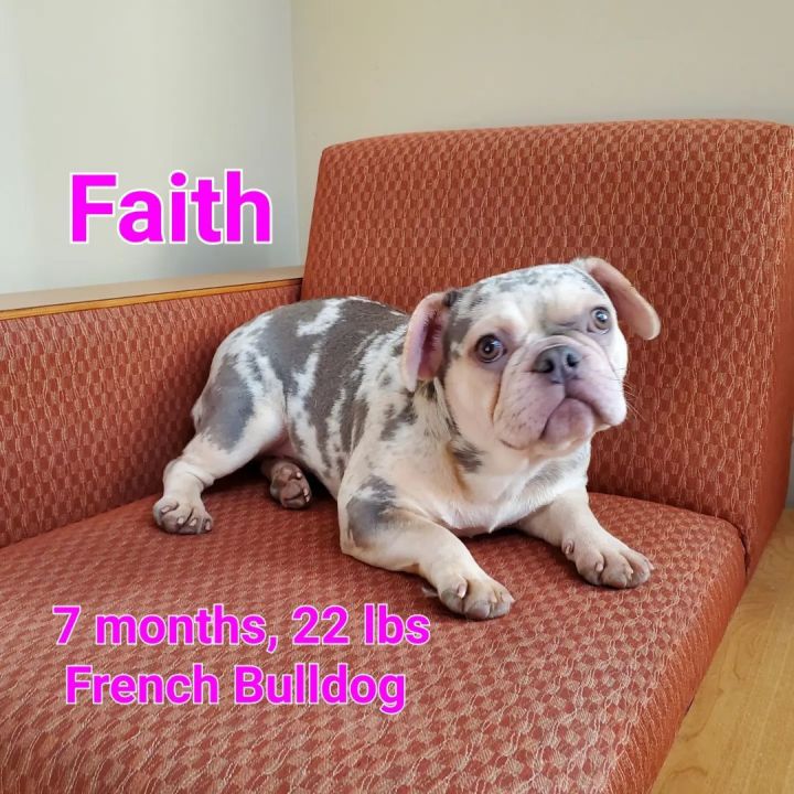 Faith 1