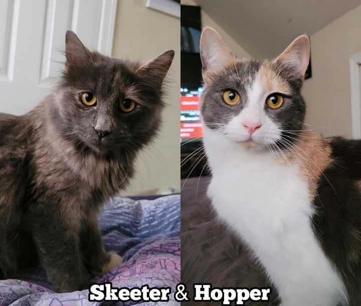 HOPPER & SKEETER
