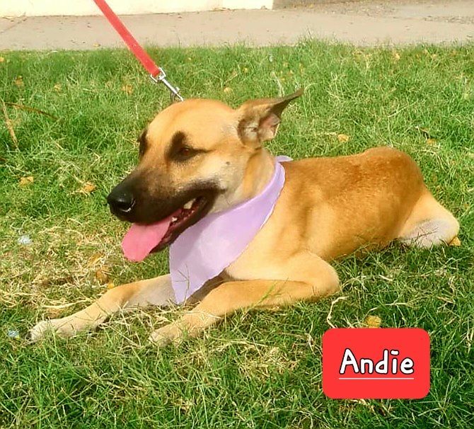 Andee (Courtesy Listing)