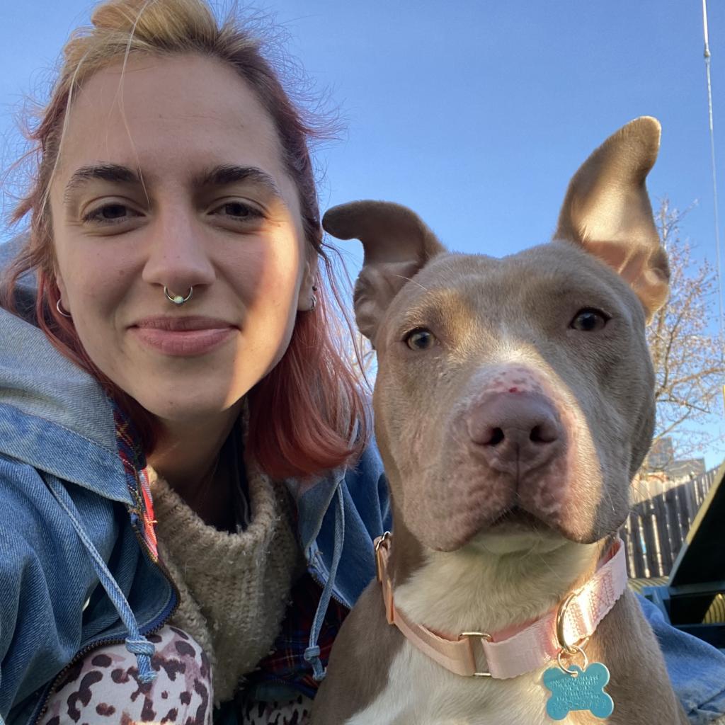 Tunisia, an adoptable Terrier in St. Louis, MO, 63103 | Photo Image 2