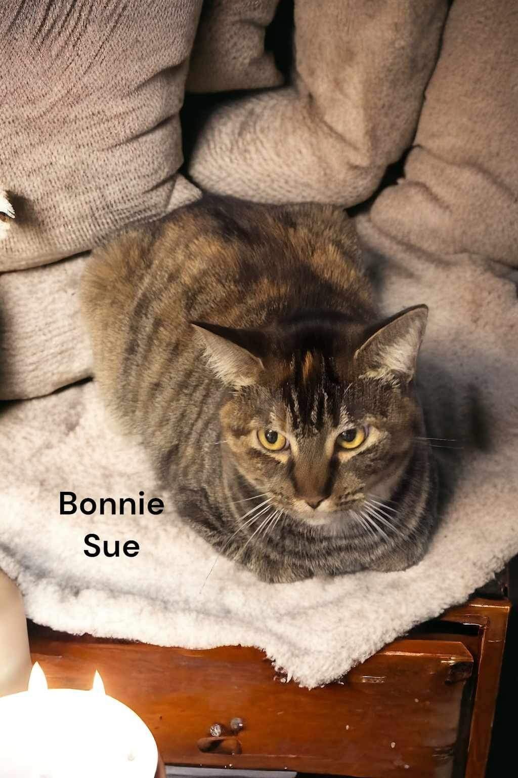 Bonnie Sue