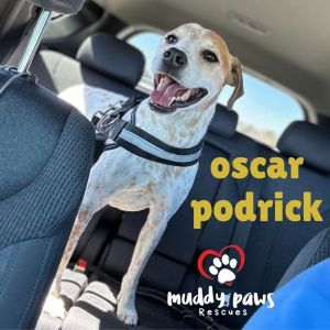 Oscar