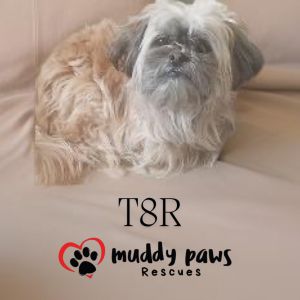 T8R (pronounced Tater)