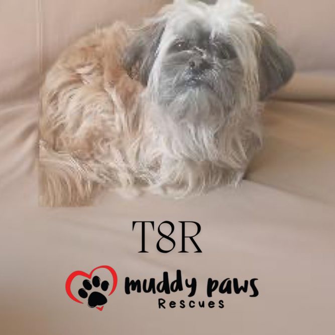 T8R (pronounced Tater)