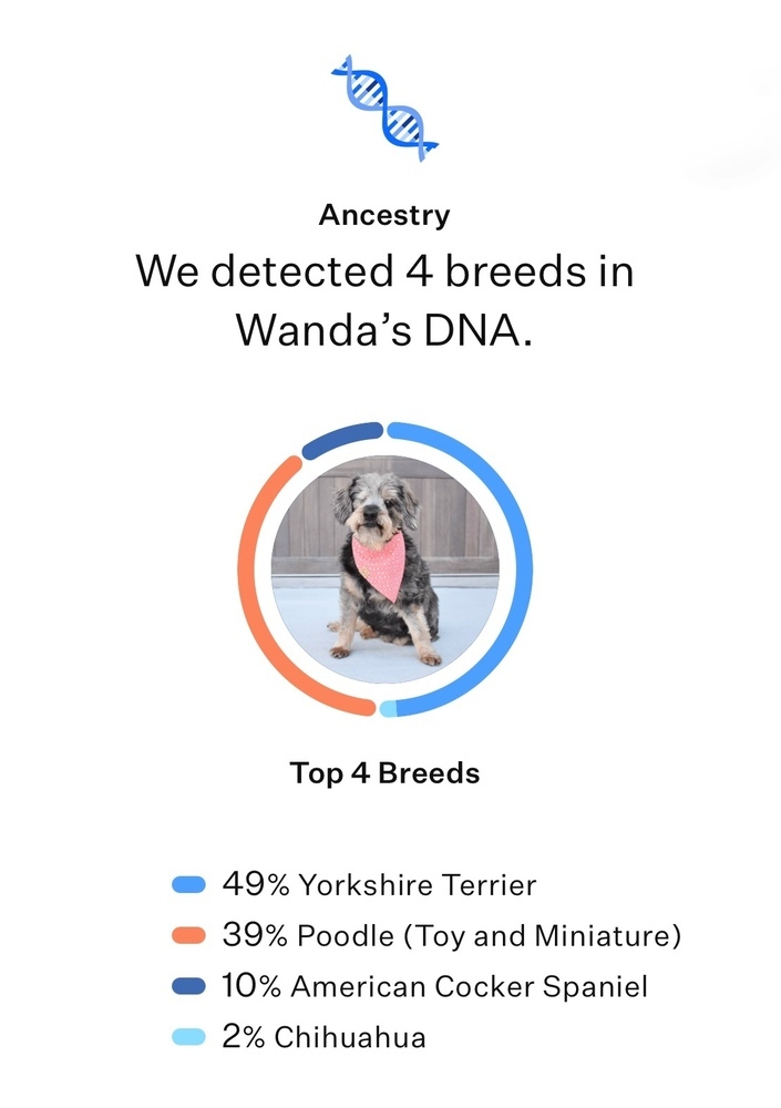Wanda 4