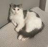 Riley - No Longer Accepting Applications