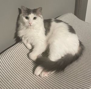 Riley - No Longer Accepting Applications