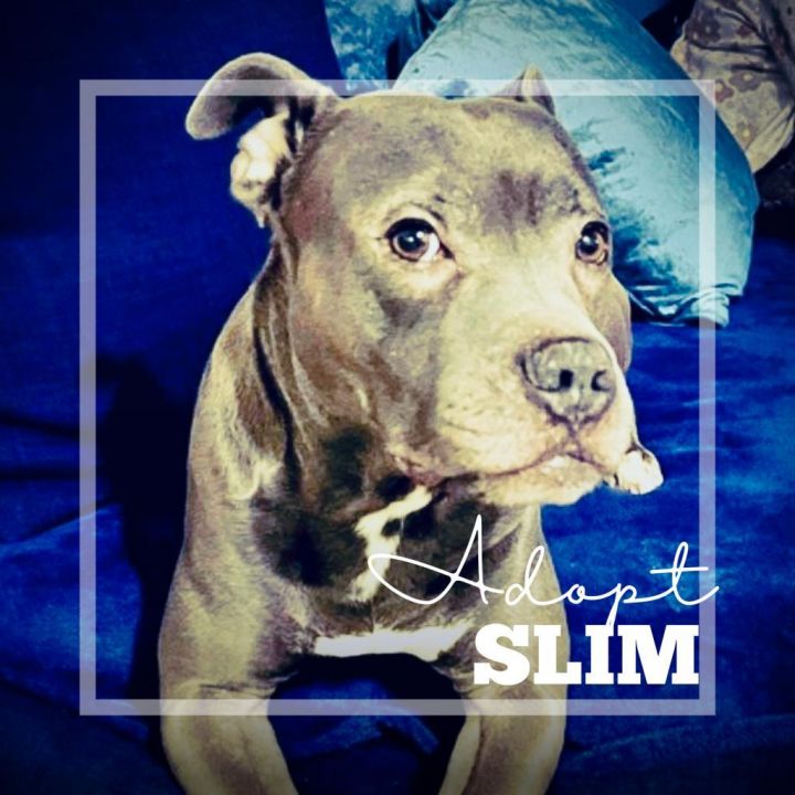 Slim 2