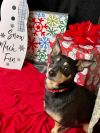 Rosco