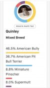 Quinley