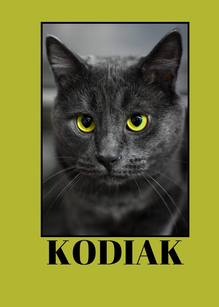 Kodiak