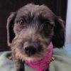 Elsie