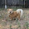 Tazz photo 1
