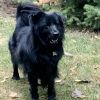 Rosie photo 6