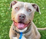 Kenny - Foster or Adopt Me! 3