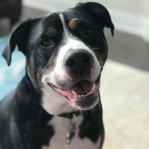 Jax