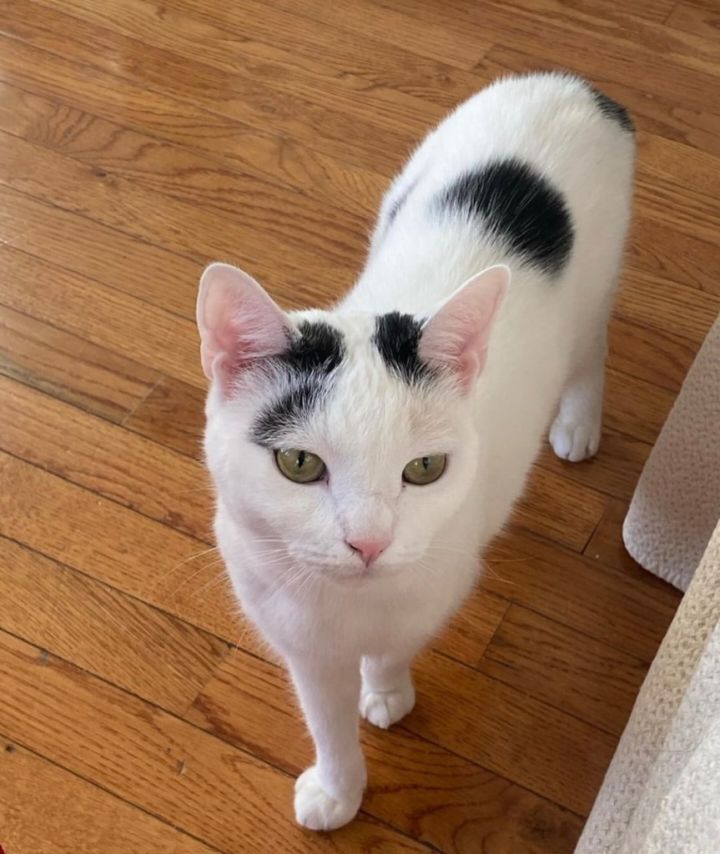 Ruby (I'm in foster care!) 1