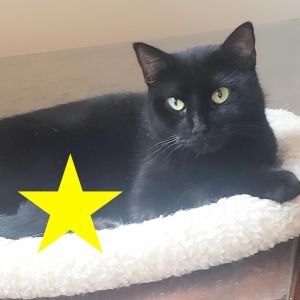 Samira