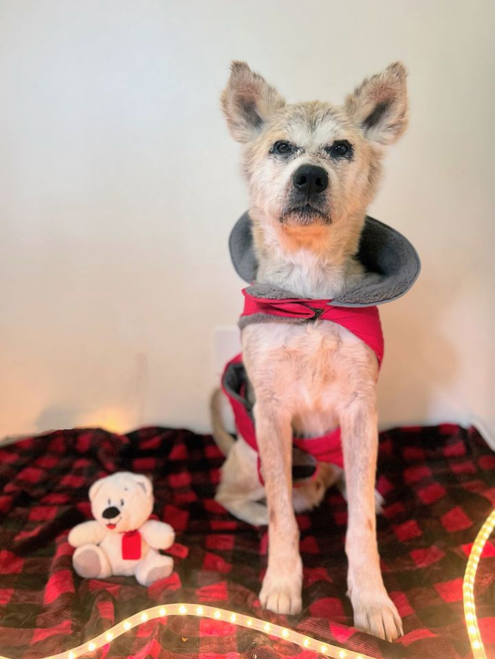 Bambi 3