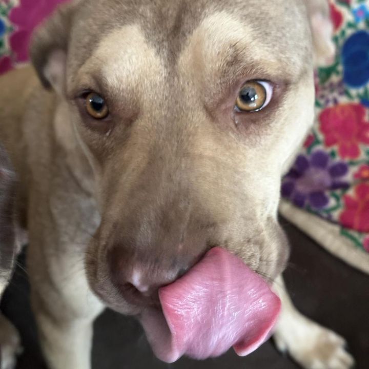 Frida 5