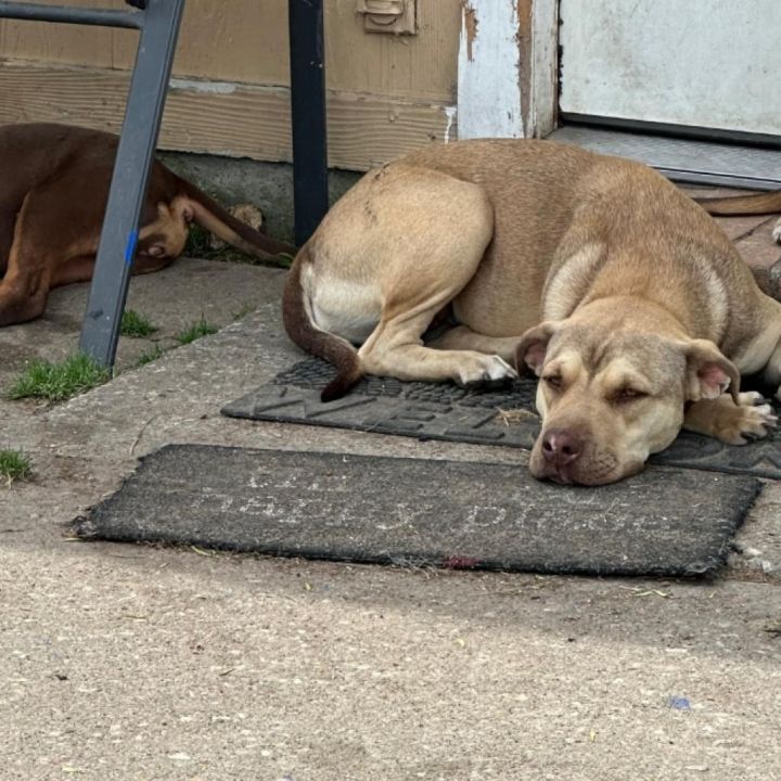 Frida 6