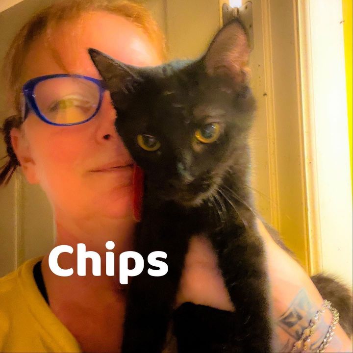 Chips 3