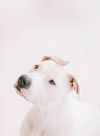 Chloe