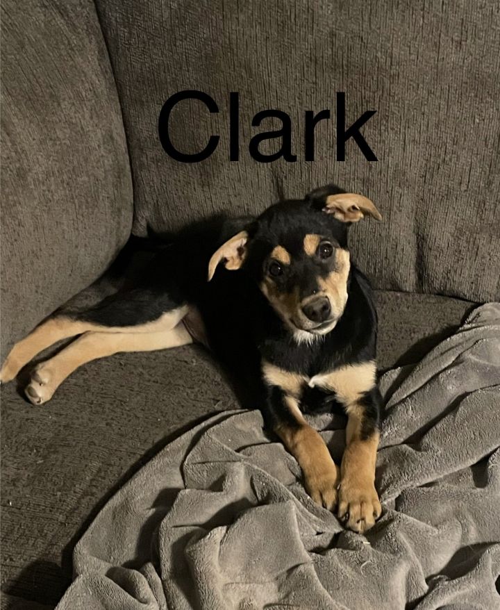 Clark 1