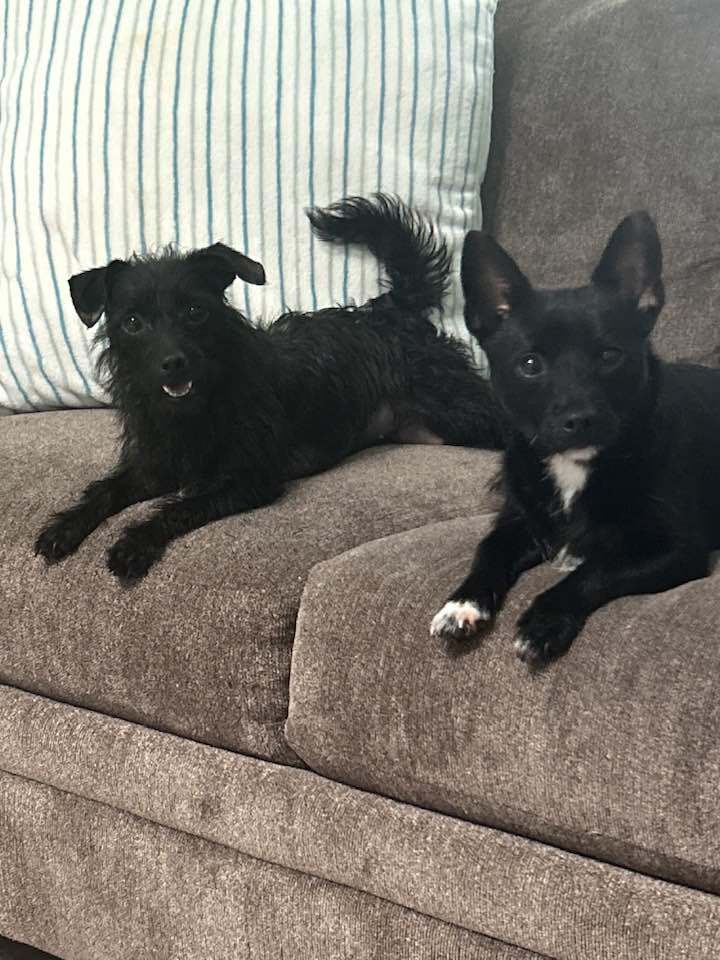 Juliette and Julian 3
