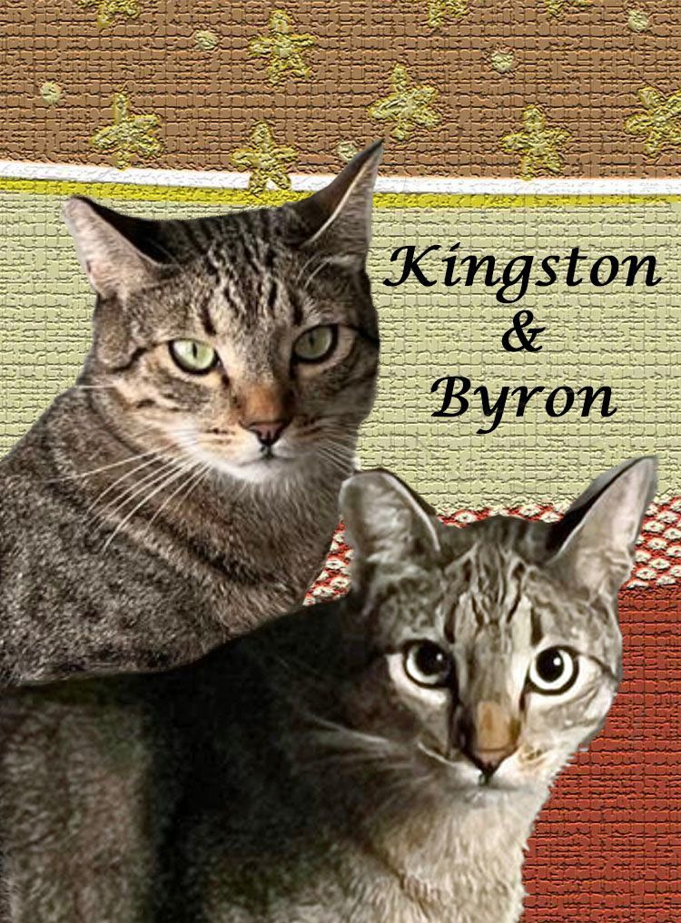 KINGSTON & BYRON