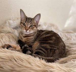 Natira was found in an abandoned apartment along with her 2 siblings when she was just 6 weeks old