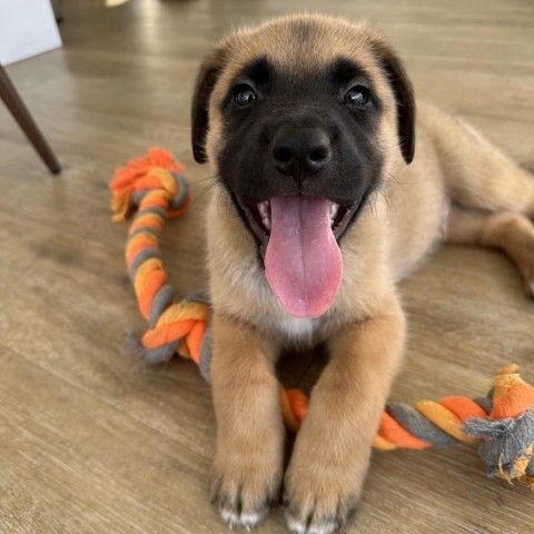 McFluff