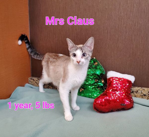 Mrs Claus 