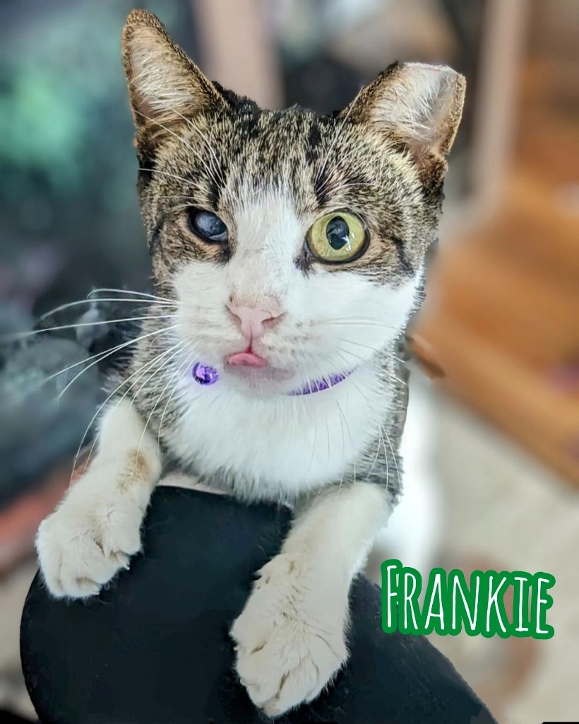 Frankie detail page