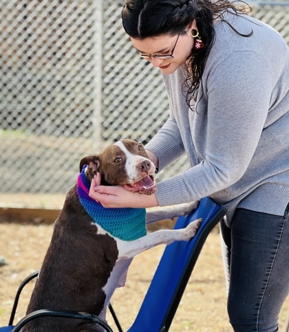 Petunia - Fostered-$25 3