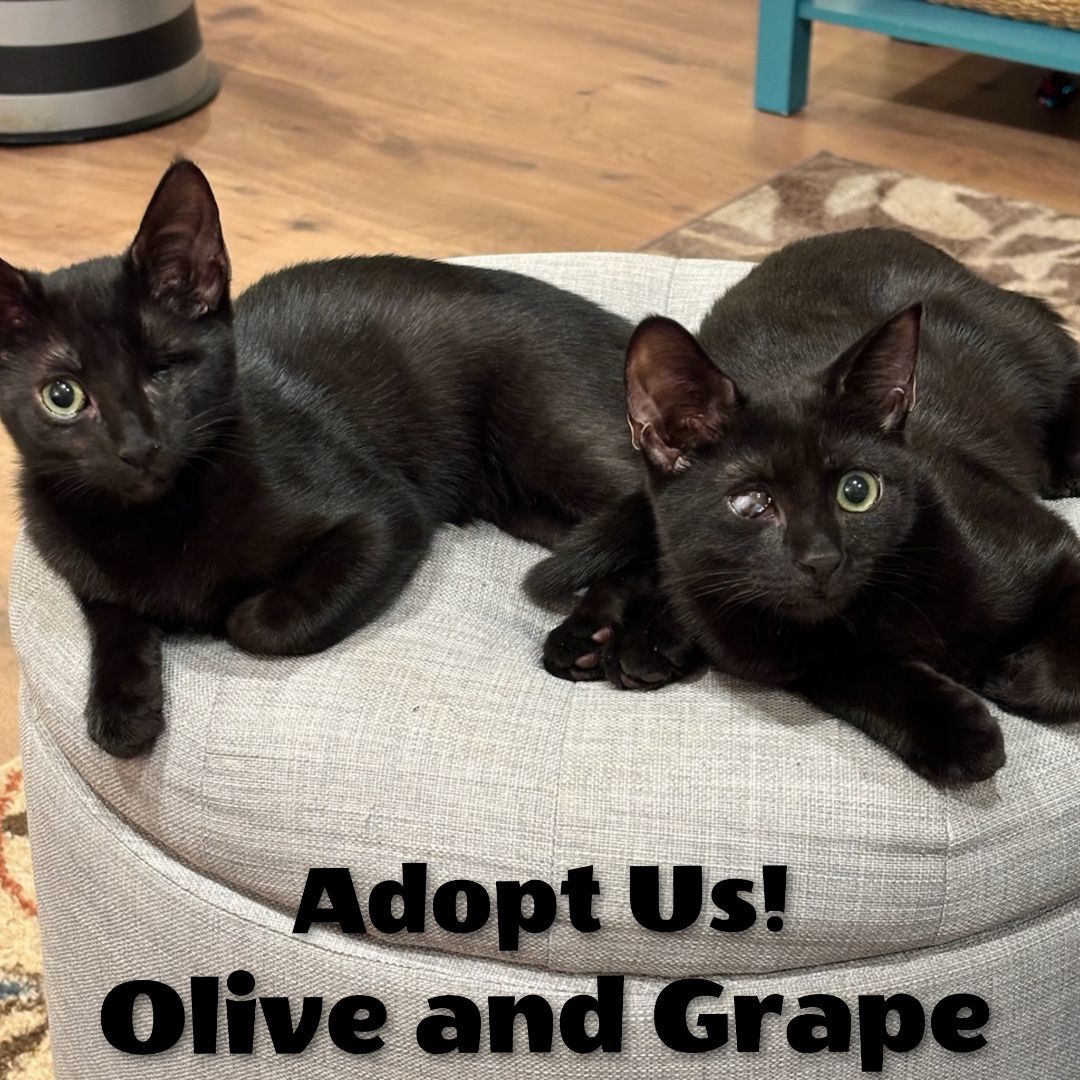 Grape and Olive