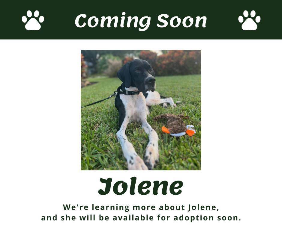 Jolene (FL)