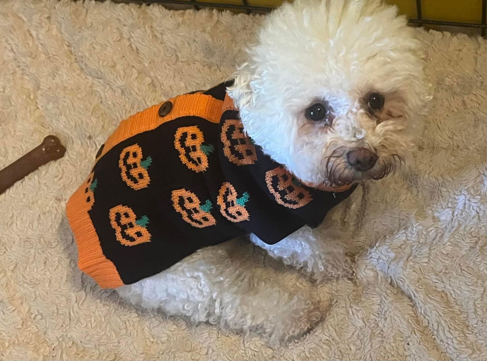 Bonnie