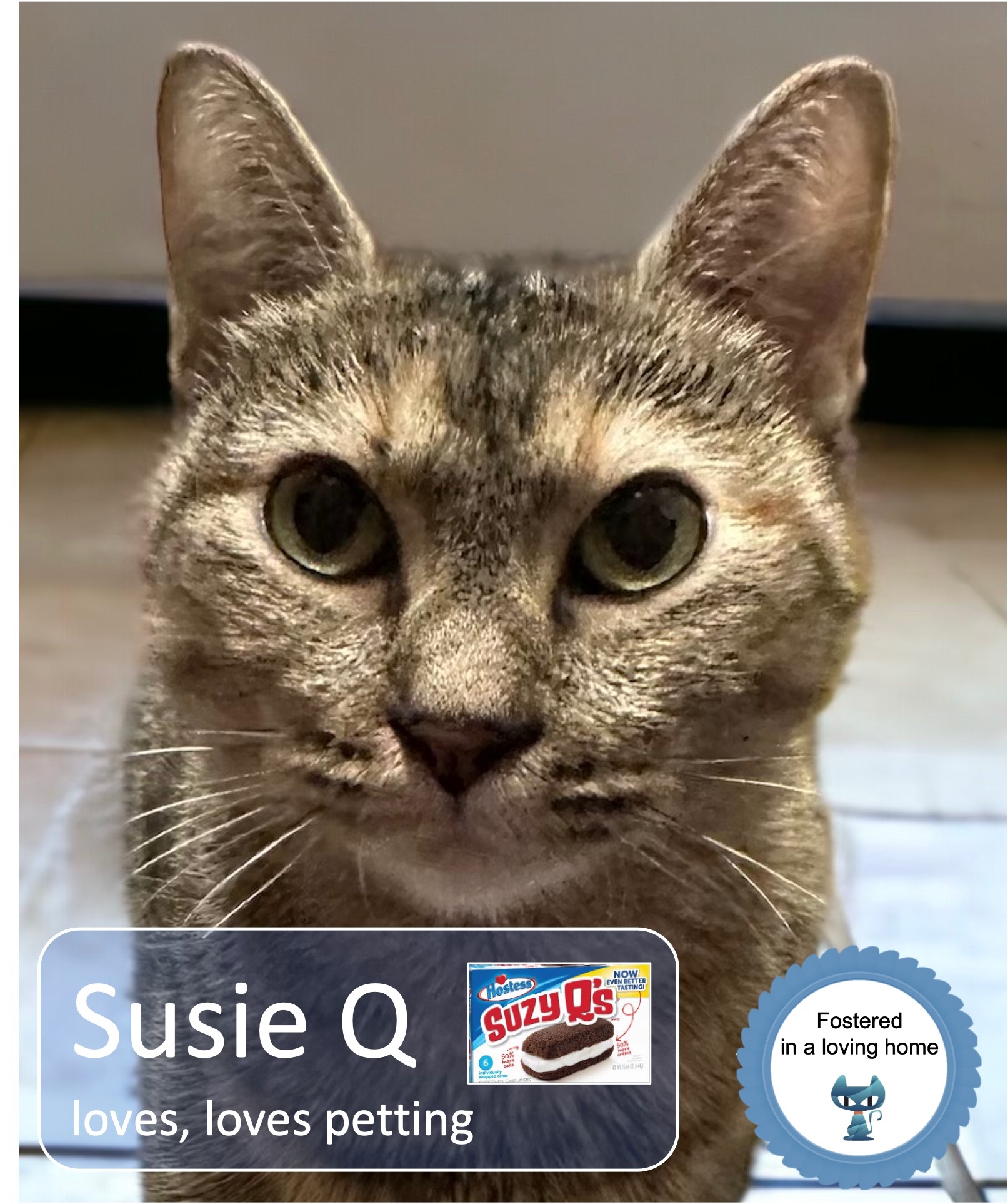 Susie Q