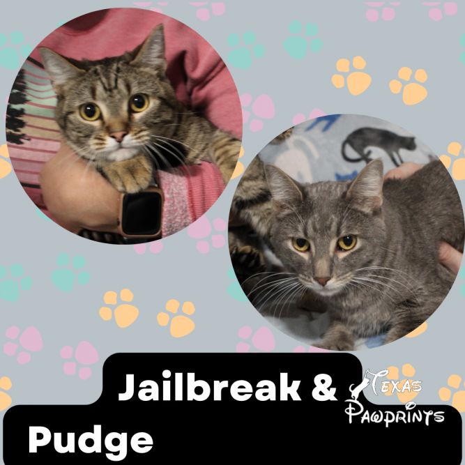 Bonded Pair Jailbreak and Pudge