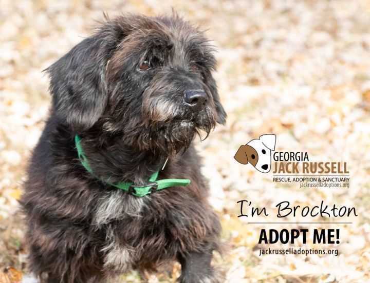 Pbgv adoption 2024