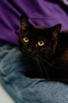 Miles photo 1