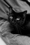 Miles photo 3