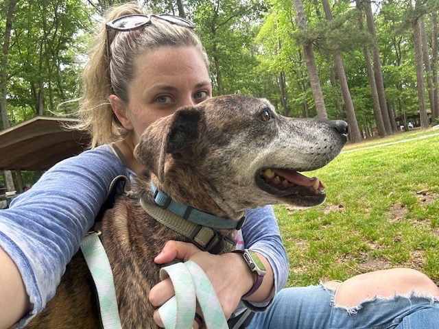 175036 Draco, an adoptable Plott Hound in Virginia Beach, VA, 23451 | Photo Image 2