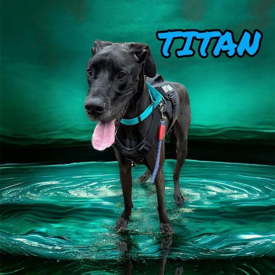 Titan detail page