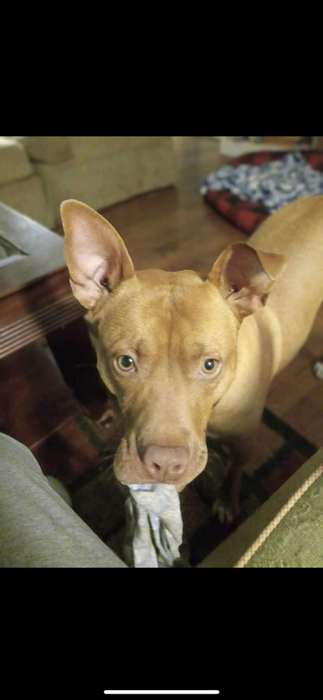 Marley