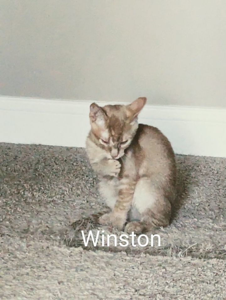 John and Winston 2